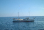 Ex Royal Navy Pinnace - classic yacht